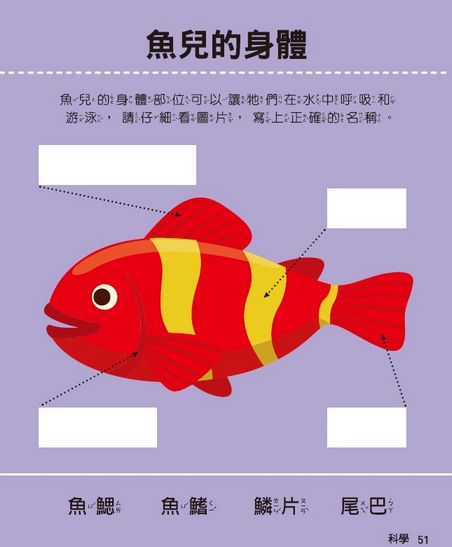 全腦開發遊戲書-五歲(五冊裝)